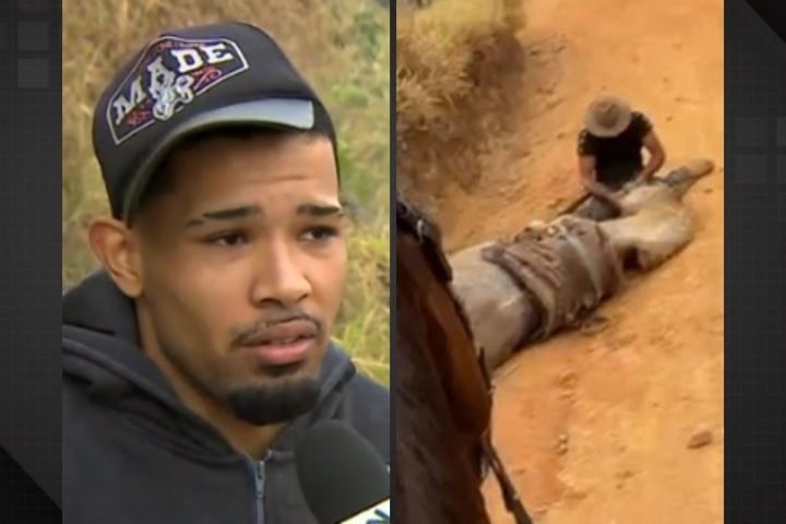 Homem que mutilou cavalo bota culpa na bebida e teme ter membros decepados. Foto: Reprodução/TV Vanguarda