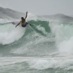 Kiany Hyakutake (SC) (Mateus Werneck / CBSurf