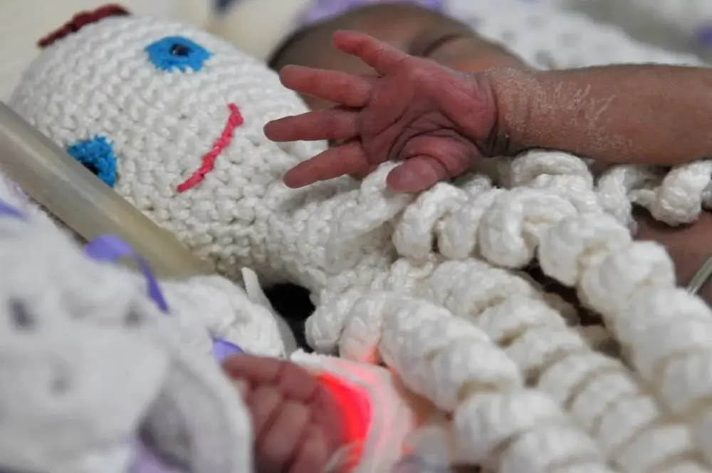 Lula sanciona lei que prorroga licença-maternidade após alta hospitalar | Diário Carioca Foto: Tony Winston/Agência Brasília