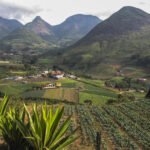 Procap-RJ chega a Nova Friburgo para fortalecer turismo na Serra Verde Imperial