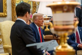 Donald Trump - Foto: Emily J. Higgins