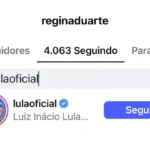 O presidente Lula aparece entre os usuários seguidos por Regina Duarte no Instagram. Foto: Reprodução