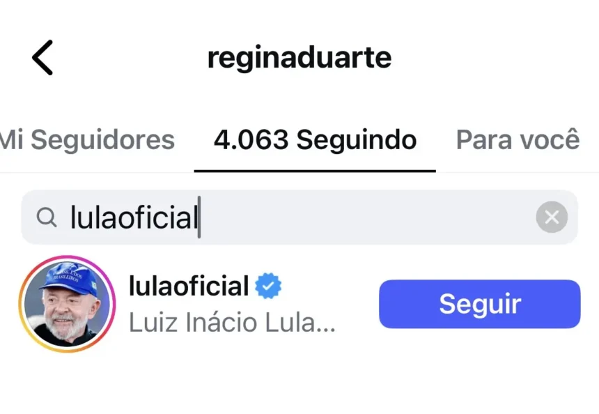 O presidente Lula aparece entre os usuários seguidos por Regina Duarte no Instagram. Foto: Reprodução