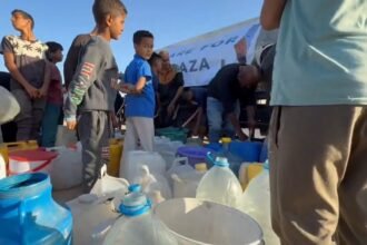 Foto: divulgação/care for gaza/X