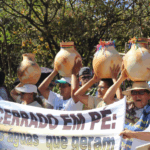 Cerrado sofre desmatamento, escassez de água e conflito socioambiental. Saiba como povos tradicionais resistem e lutam por proteção.