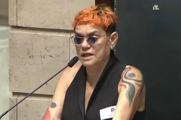 Antropóloga Jacqueline Muniz – Imagem: Reprodução/Rio TV Câmara