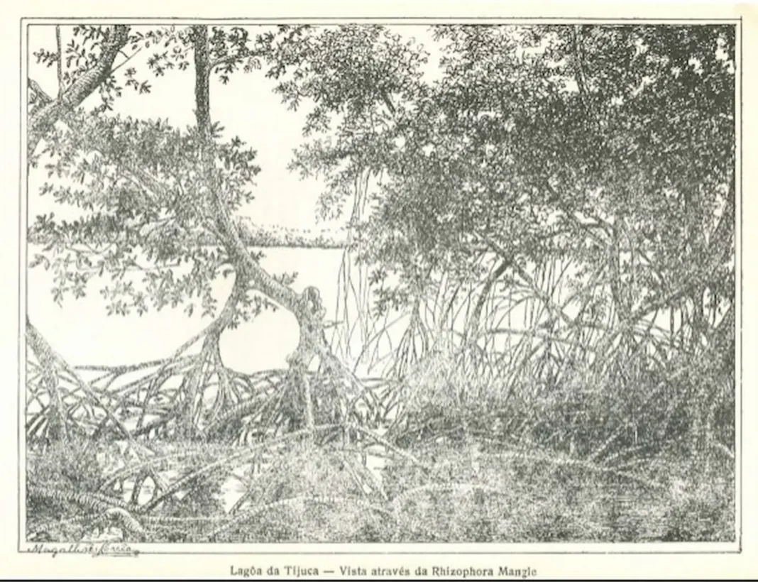 Lagoa da Tijuca. Ilustração de Magalhães Corrêa. Lagoa da Tijuca. Ilustração de Magalhães Corrêa.