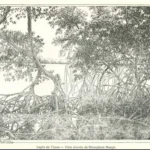 Lagoa da Tijuca. Ilustração de Magalhães Corrêa.