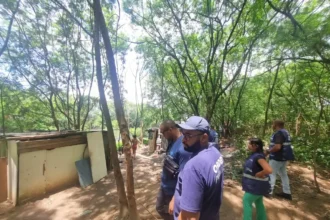 Agentes atuaram em área de mata na Cidade de Deus | Crédito: Divulgação