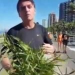 Jair Bolsonaro - Foto: Reprodução