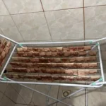 Dinheiro secando no varal/Policia Civil de Santa Catarina