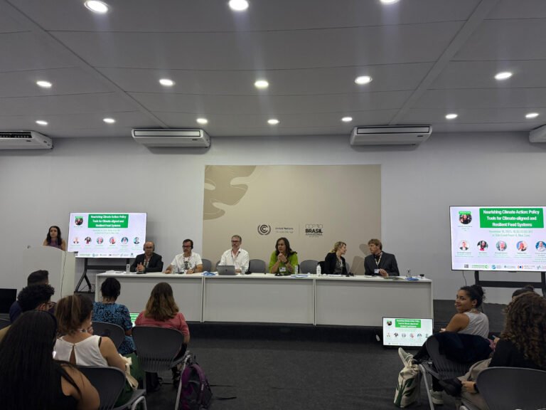 Sistemas alimentares são desafio e solução para o debate climático (Foto: Reprodução/Portal COP30)