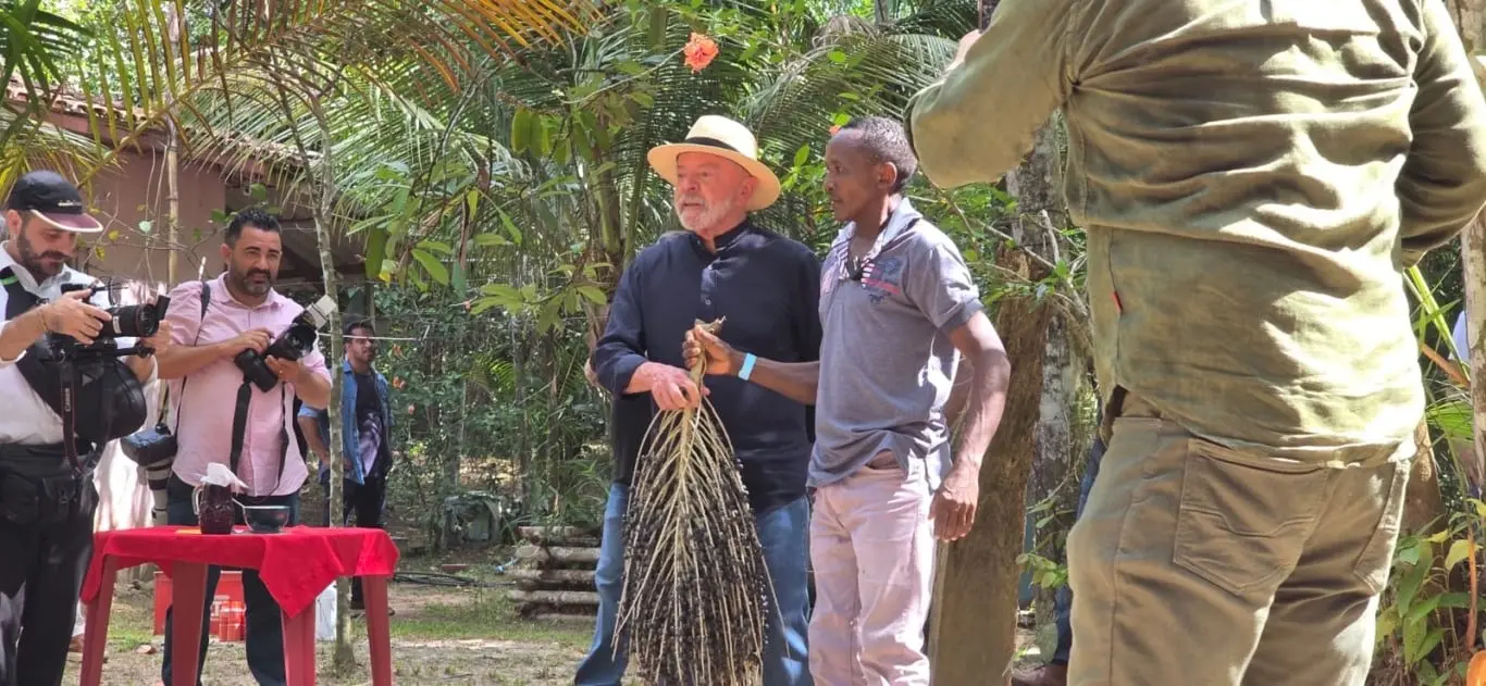 Lula visita quilombo Itacoã-Miri e participa da colheita de açaí às vésperas da COP30 | Diário Carioca Foto: Reprodução