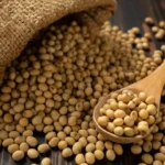 Soja e trigo hoje: confira as cotações para esta segunda-feira (1º)