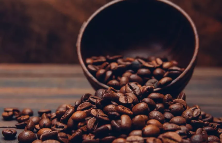 Café hoje: confira as cotações para esta segunda-feira (1º)