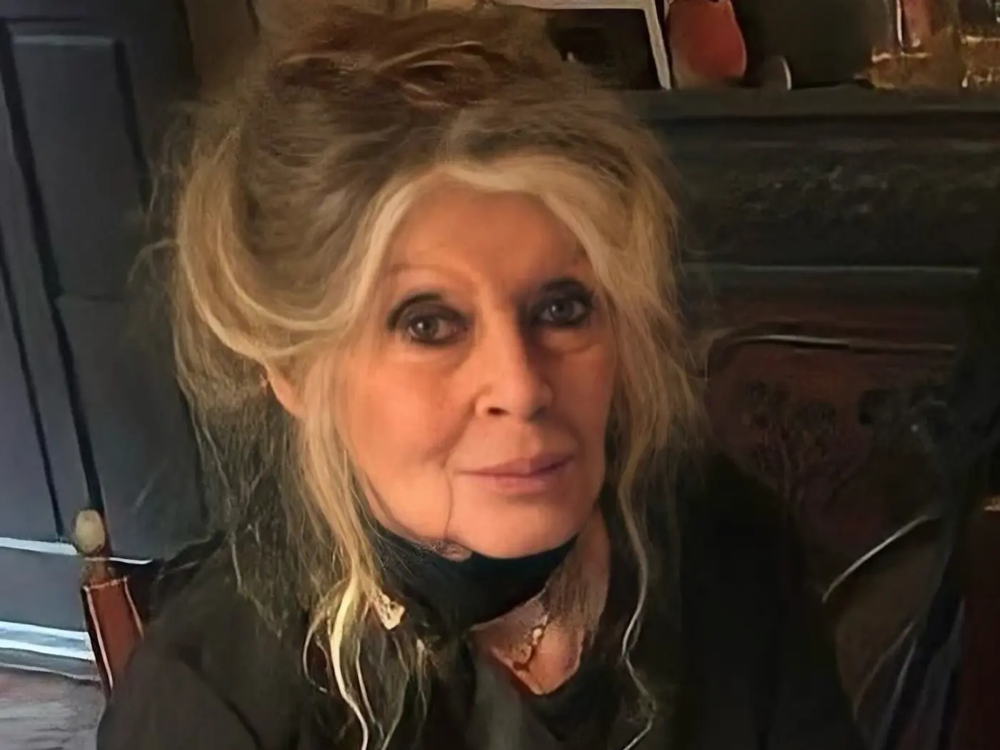 Brigitte Bardot morreu neste domingo aos 91 anos Crédito: Reprodução/Instagram/@brigittebardotpage