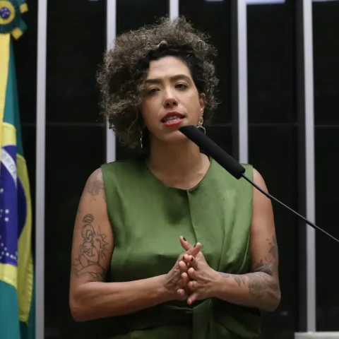 Talíria Petrone/Foto: Câmara dos Deputados