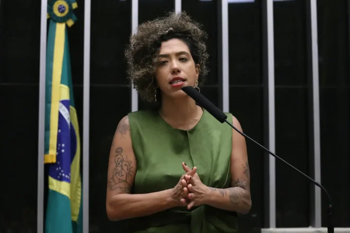 Talíria Petrone/Foto: Câmara dos Deputados