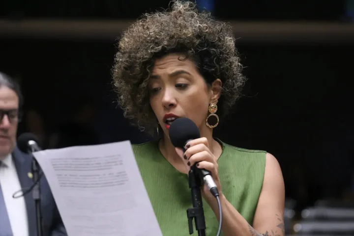 Talíria Petrone/Foto: Câmara dos Deputados