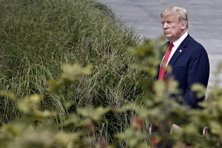 Coturnos no gelo: Regime de Trump mobiliza o exército contra o próprio povo e ressuscita lei de 1807