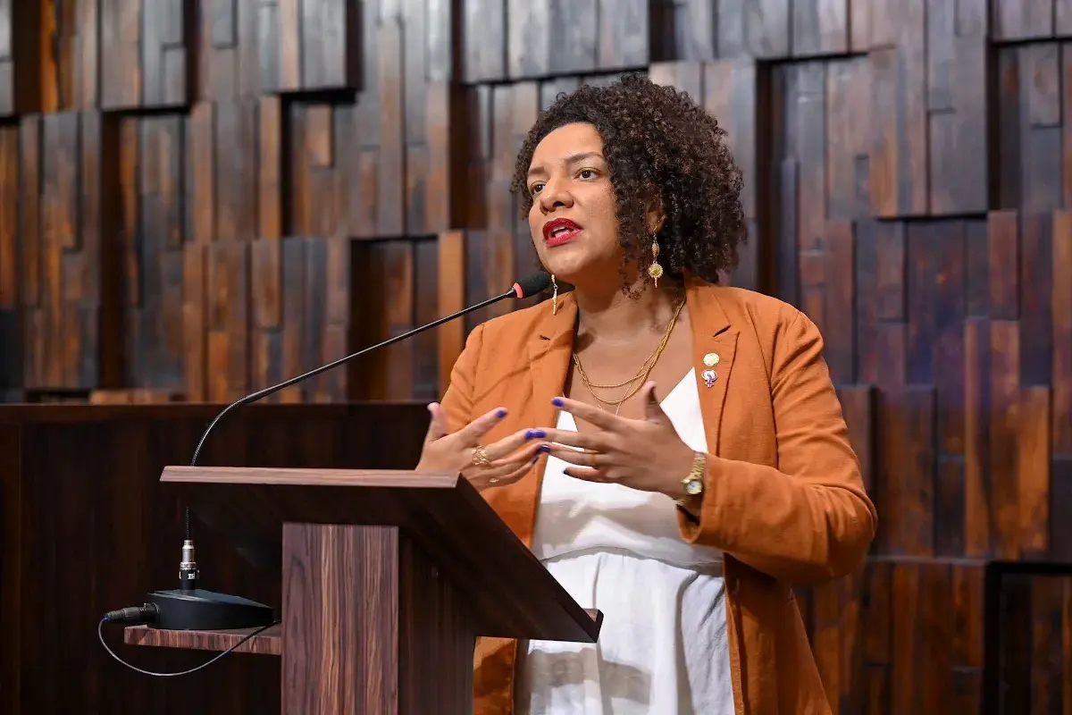 Renata Souza aciona ONU e OEA por ameaças de morte neonazistas em 2026