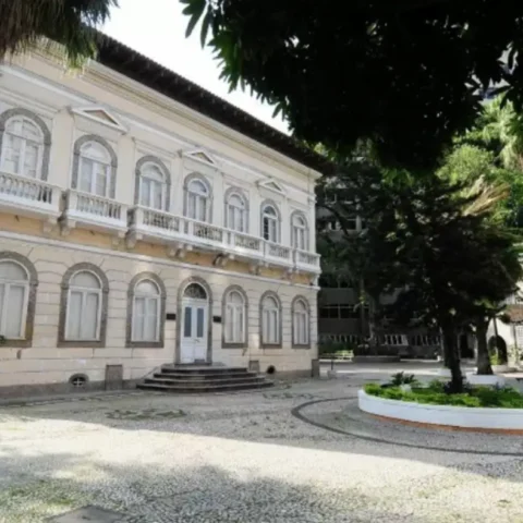 Movimentação ocorre na esteira da derrubada de dezenas de árvores no terreno do antigo Colégio Bennett, no Flamengo, para obras de empreendimento | Reprodução