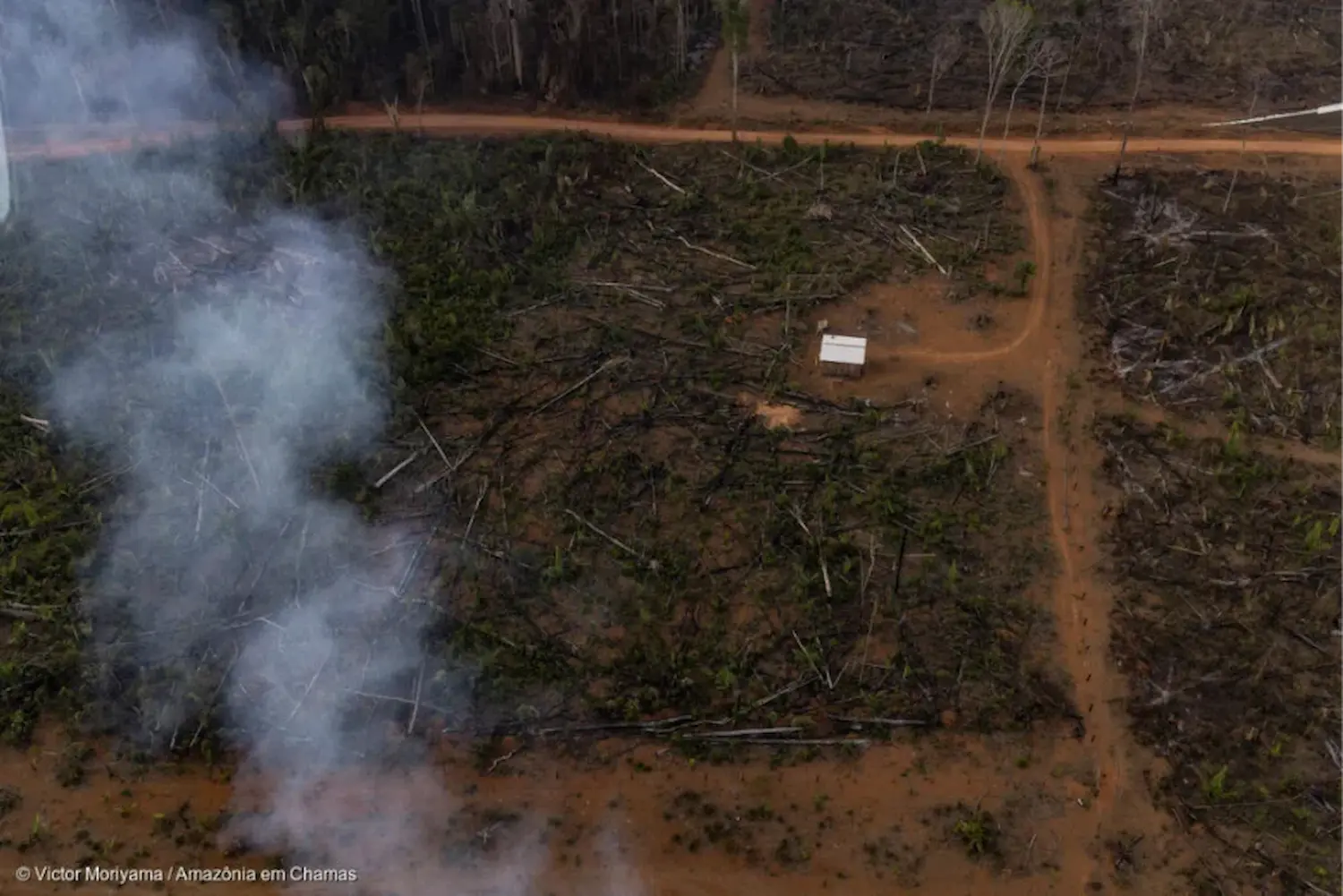 Áreas públicas com grilagem de terras sofrem tipo de desmate (Foto: Victor Moriyama/Reprodução) Áreas públicas com grilagem de terras sofrem tipo de desmate (Foto: Victor Moriyama/Reprodução)